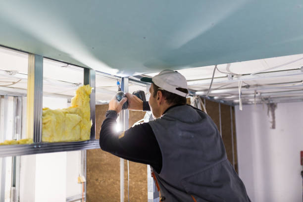 Best Residential Insulation Services  in Tangelo Park, FL