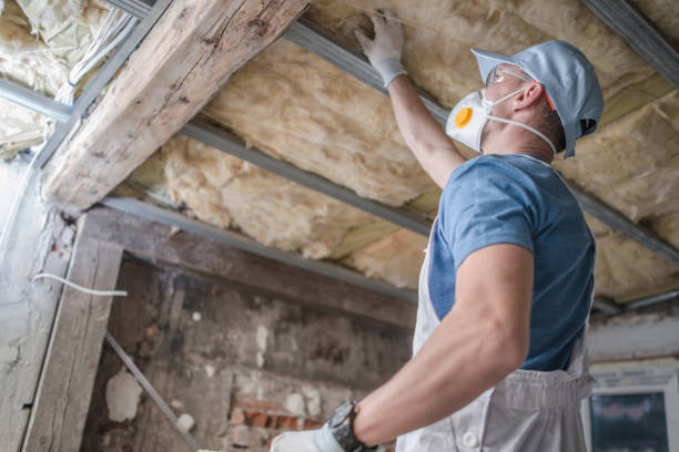 Best Insulation Repair Services  in Tangelo Park, FL