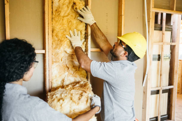 Best Best Insulation Companies  in Tangelo Park, FL