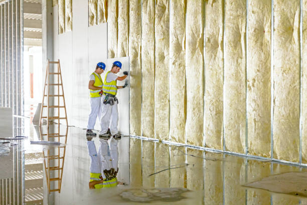 Range of Insulation Solutions in Tangelo Park, FL